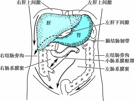 教材原图：腹膜腔分区与膈下间隙示意图，显示结肠上间隙、结肠旁沟与盆腔间隙的交通